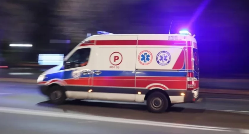 Ucieczka w cieniu tragedii. Pies i pasażer zniknęli z miejsca wypadku