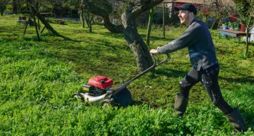Piękny trawnik na wiosnę? Klucz tkwi w ostatnim koszeniu