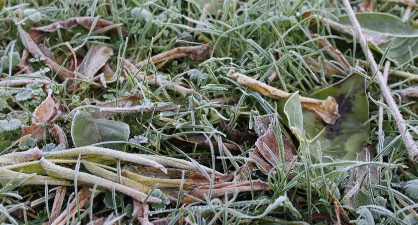 Zimno nie ustępuje. Przed nami coraz większe spadki temperatur