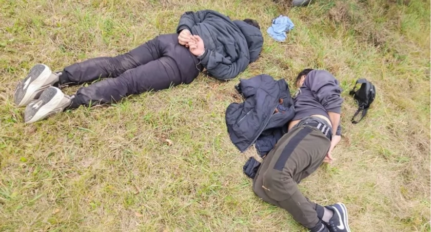 Pościg na trasie S8. Udaremniono próbę przemytu nielegalnych imigrantów