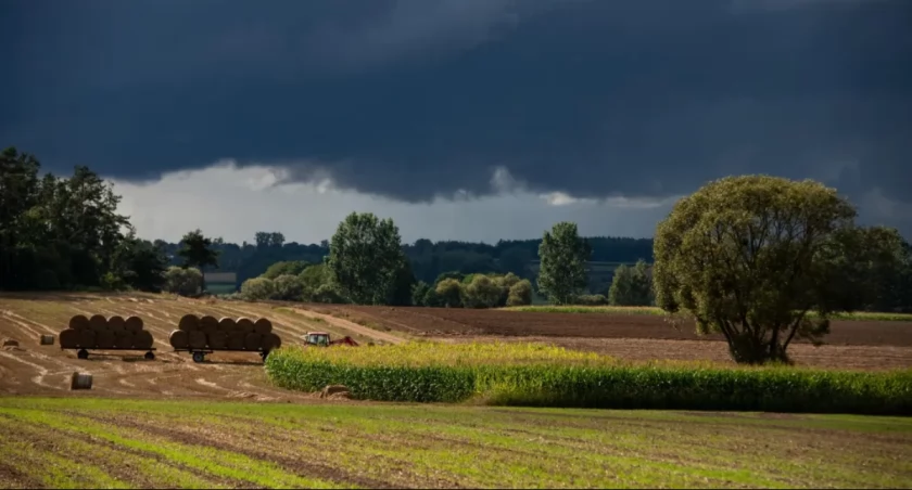 Polskie rolnictwo na skraju upadku. Rolnicy: Unia nas dobija!