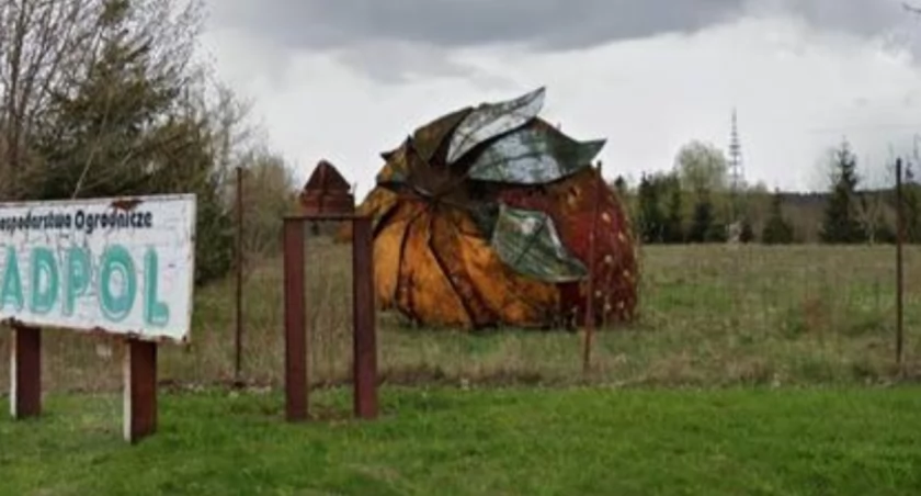 Gigantyczna truskawka pod Warszawą straszy i zachwyca