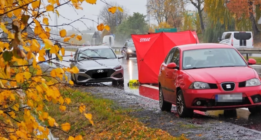 Myślał, że to worek. Sekundy później zobaczył koszmar