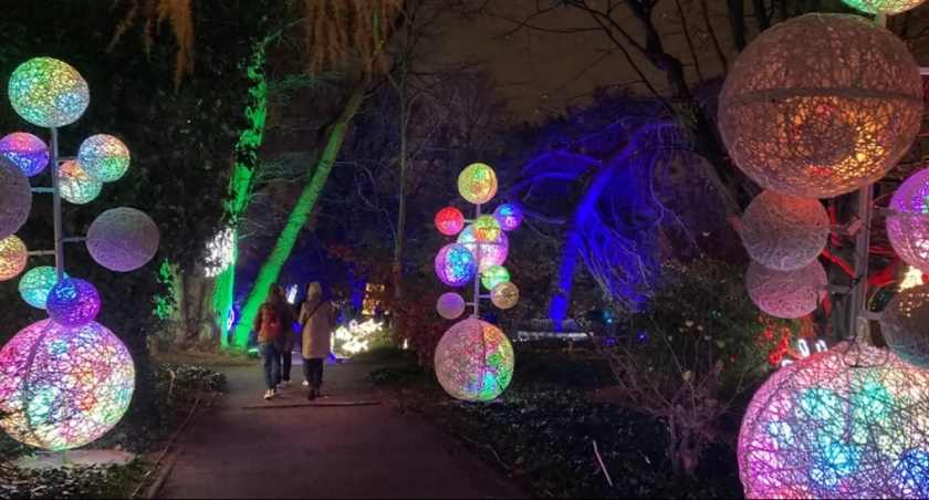 Kiedy milion świateł rozbłyśnie w Ogrodzie Botanicznym UW?