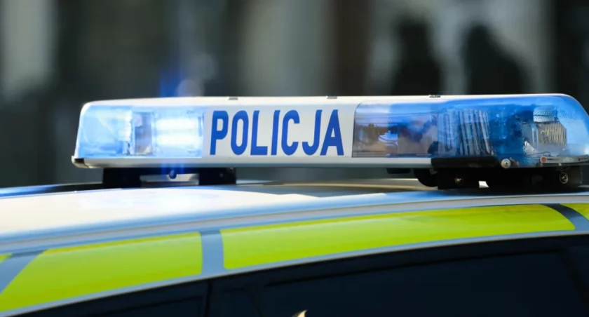 Koszmarne Halloween w Piasecznie! Policja wkracza po gigantycznej demolce