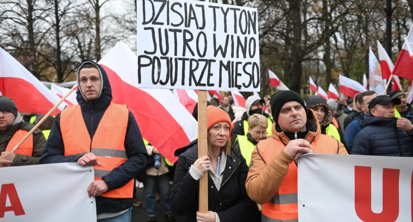 [ZDJĘCIA] Polscy rolnicy na skraju bankructwa! WHO i Bruksela chcą zniszczyć uprawy tytoniu!