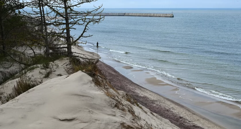 Fioletowy cud nad Bałtykiem! Mielno jak z bajki – zobacz niezwykłą plażę, zanim zniknie!