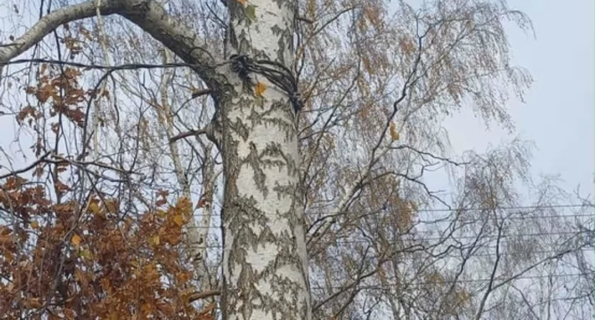 Metalowa lina w poprzek drogi. Sekundy od potwornej tragedii na Mazowszu!