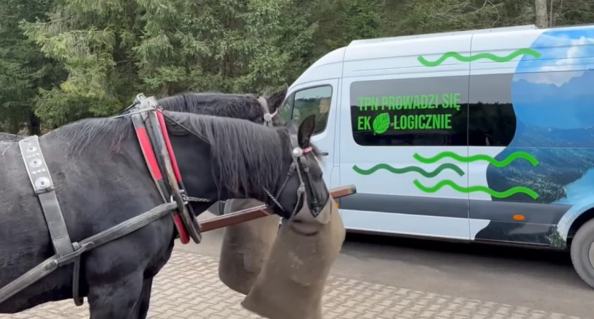 Konie czy busy? Przełom w Tatrach – czy to już kompromis, na który wszyscy czekali?