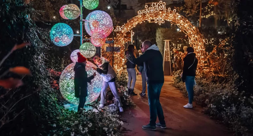 Magiczny Botaniczny znów rozświetlił Warszawę. Milion lampek i cztery żywioły przyciągają tłumy