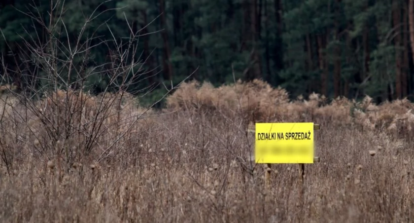 Gangsterski koszmar dewelopera