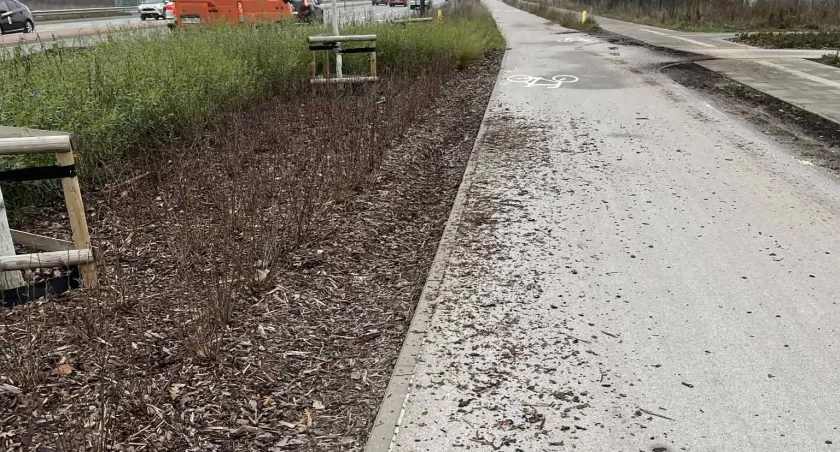Park zamieniony w pobojowisko – kto za to odpowie?!