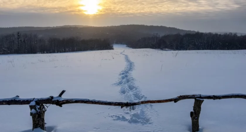 To biały cud ratuje Polskę
