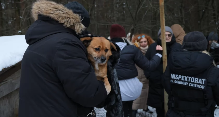Schronisko zamknięte przez „brak ewidencji”