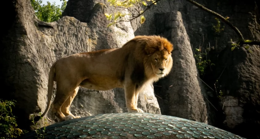 Urodziny Warszawskiego ZOO