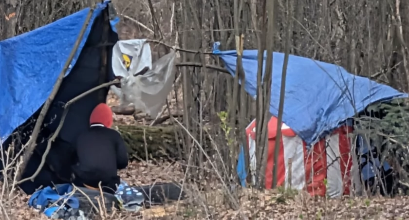 „Koczowisko imigrantów” pod Warszawą? Wójt ujawnia szokującą prawdę