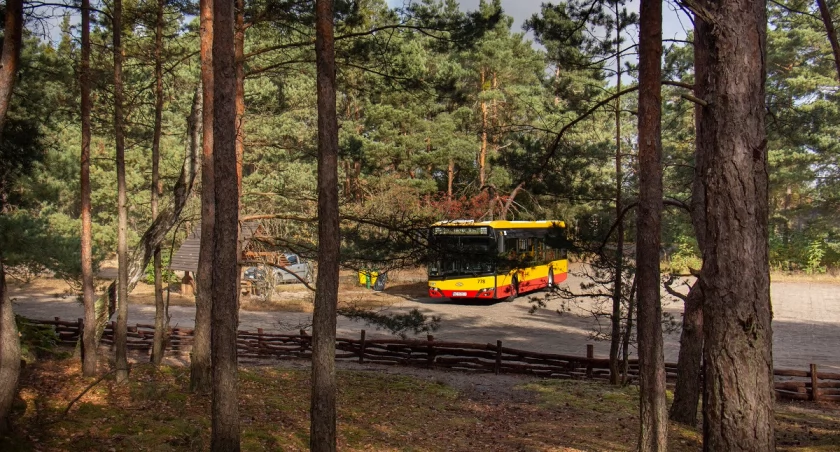Autobus, który prowadzi do ciszy, pamięci i natury – 800 znów kursuje