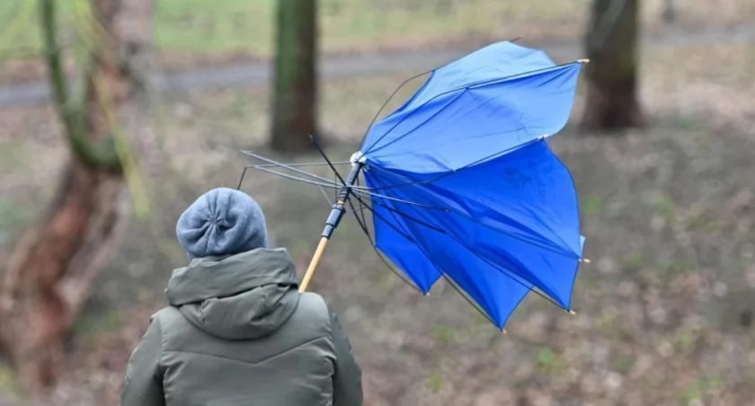Silny wiatr nad Polską. Alert IMGW dla dziewięciu województw
