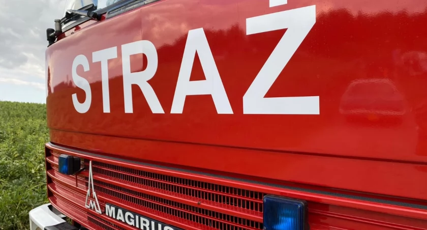 Pożar w podstawówce pod Legionowem. Ewakuowano ponad 200 osób