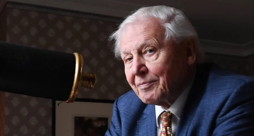 David Attenborough kończy 100 lat. Człowiek, który nauczył świat kochać naturę
