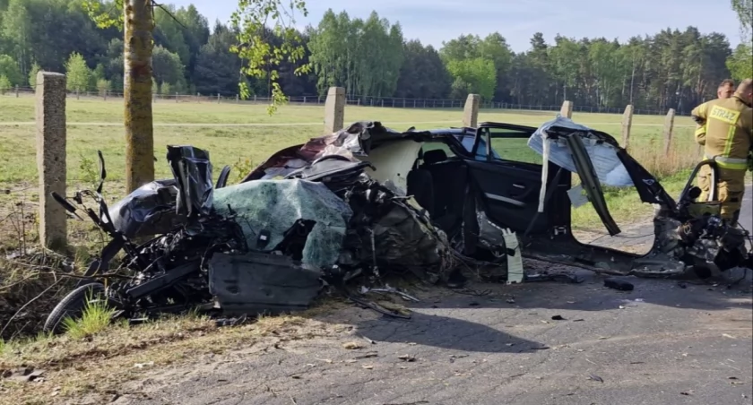 Kierowca BMW zginął po zderzeniu z łosiem