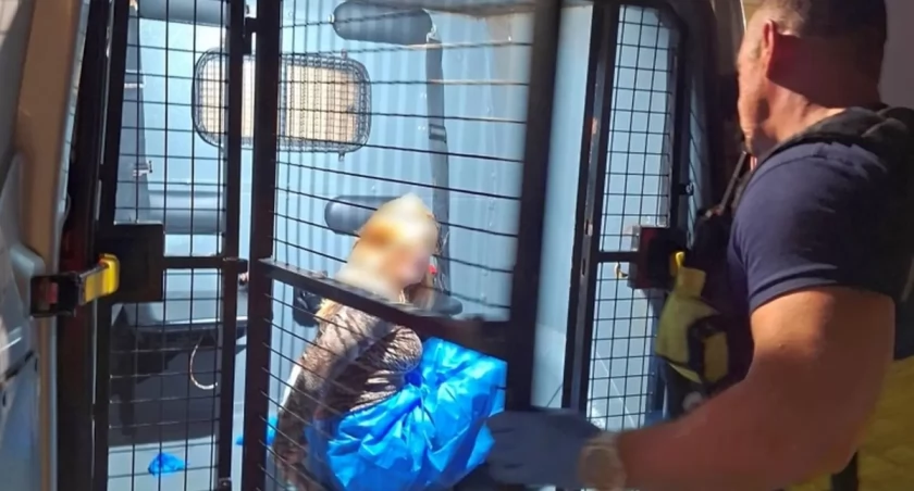 Pacjentka zaatakowała pielęgniarkę. Zamiast do izby wytrzeźwień trafiła na policję