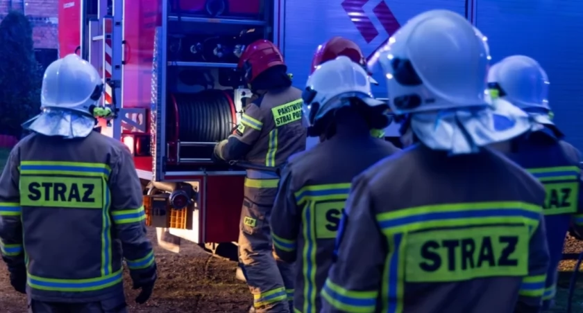 Pożar lasu pod Warszawą. Służby badają trop podpalenia