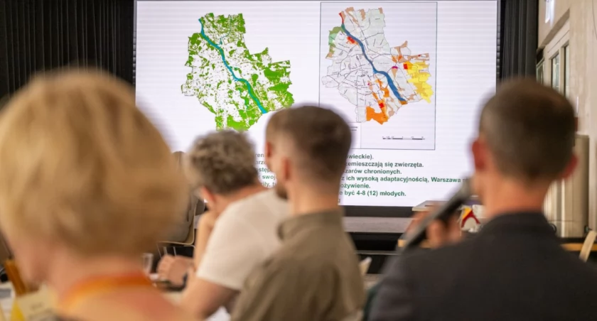 Dziki przejęły Warszawę? Miasto powołało specjalny zespół