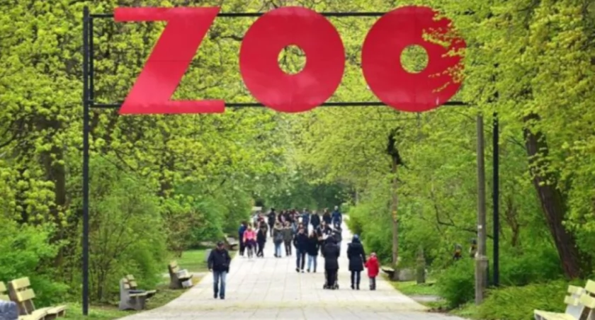 Kupują siano za granicą, choć Polska jest rolniczą potęgą. Jest reakcja ZOO