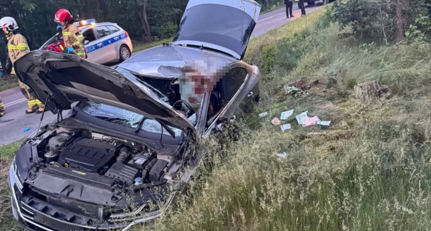 Łoś staranował auto. Kierowca trafił do szpitala