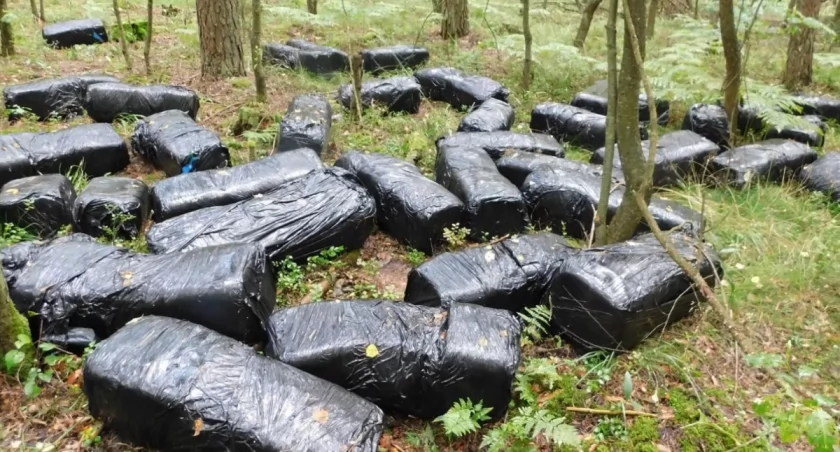 Toksyczna bomba pod Przasnyszem. Trzech mężczyzn stanie przed sądem