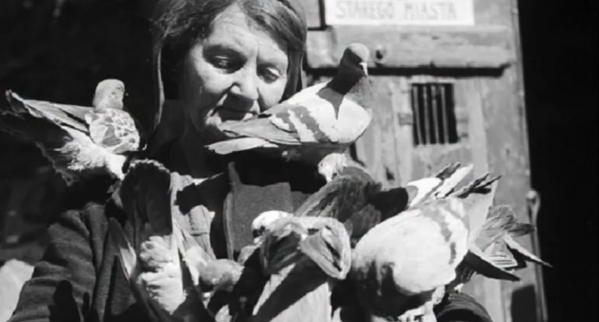 Warszawska Gołębiarka. Kobieta, która wróciła do ruin dla swoich ptaków