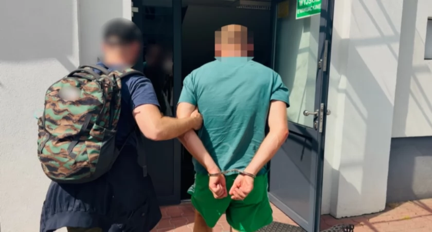 Samochodowy cmentarz luksusowych marek? Policja rozbiła podejrzany proceder