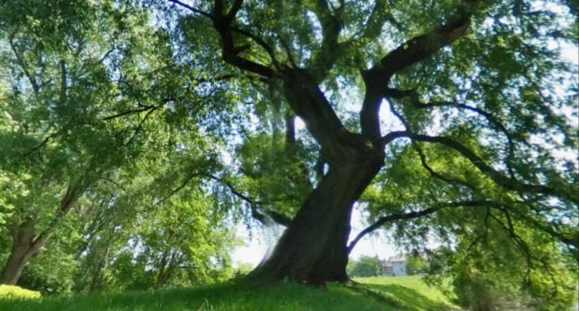 Ten park przejdzie metamorfozę. Warszawiacy zobaczą wielkie zmiany