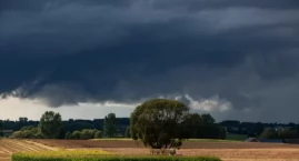 Burze uderzą w Mazowsze – grad, ulewy i silny wiatr