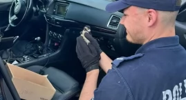 Dzięcioł utknął w aucie. Pomogli policjanci