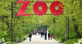 Kupują siano za granicą, choć Polska jest rolniczą p&hellip;