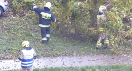 Ostrzeżenia IMGW dla jedenastu województw przed burz&hellip;