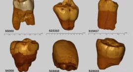 Neandertalczycy żyli tu tysiące lat temu. Nowe odkry&hellip;