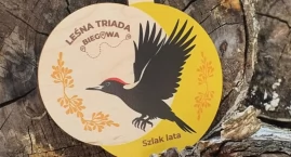 Warszawskie lasy zapraszają biegaczy i miłośników przyrody