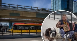 Miały przynosić pieniądze. Gdy odebrano psy, wolonta&hellip;