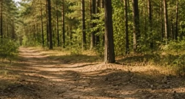 Wystarczy chwila i może dojść do tragedii. RCB apelu&hellip;