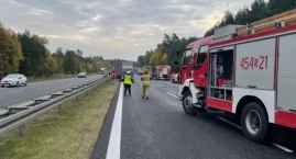 Dramatyczny widok na ekspresówce. Padłe zwierzęta wy&hellip;