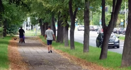 Radom stawia na rowery. Cztery ulice przejdą dużą me&hellip;