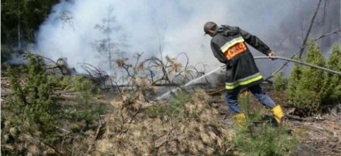 Wyprawa nad jezioro Topola