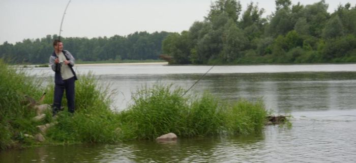 Najczęściej popełniane błędy pogromców suma