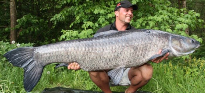 Rekord Austrii Amura czarnego - 39,5kg
