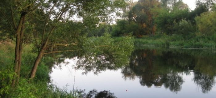 Rzeka Wkra - Joniec