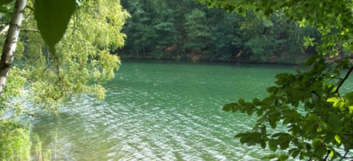 Jezioro Betyń Wielki na Pojezierzu Wałeckim
