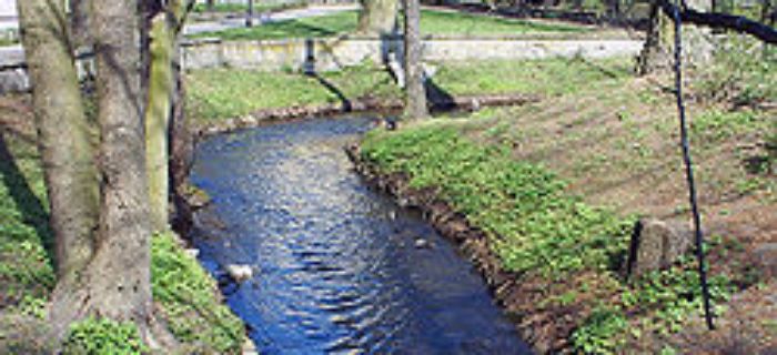 Struga Toruńska Kaszownik